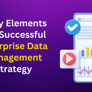 Enterprise Data Management Strategy